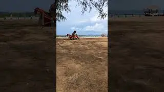 Девушки с кокосом