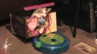 Моя Масятка шалит  (С Новым годом!)