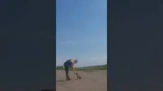 Амстаф Бьёрн/Учим команду сидеть и выдержку