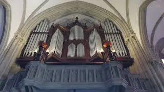 Catedral São Pedro de Alcântara em Petrópolis/RJ