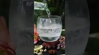 Alcohol-Free "Gin" Fizz Recipe