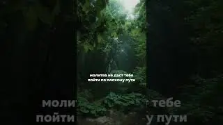 #красивоечтениекорана #видеокоран #аяты #суры #дагестан #кавказ #ислам #чечня #коран #россия #коран