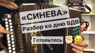 СИНЕВА разбор на гармони. АККОРДАМИ и МЕЛОДИЕЙ. Сыграет любой начинающий 😉✌️
