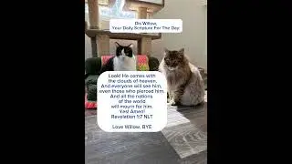 In the twinkle of an eye #3southerncatsandmomma