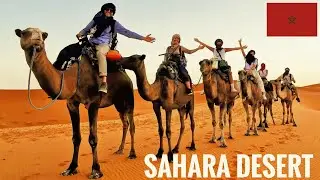 The Journey to the Sahara Desert 🇲🇦🏜️🐫 (Merzouga, Morocco) 