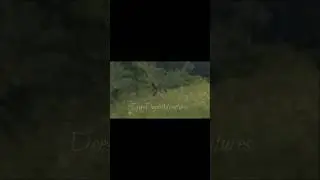 CREEPY CREATURE