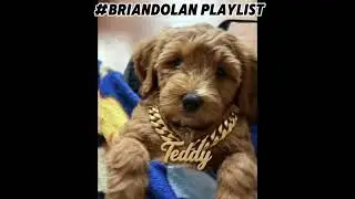 Full play list …LISTEN TO IT IWAS WAS LOL WHILE WATCHING!