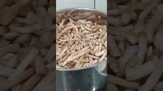 опята 23