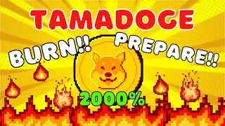 Tamadoge Token Burn! P2E Game Earning Distribution Update!