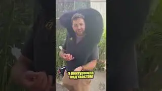 Котомедведь, пахнущий попкорном