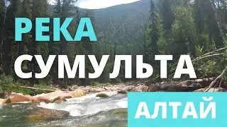 Алтай. Река Сумульта. Sumulta River