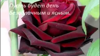 Поздравление  Нины Чеботаревой с юбилеем!!