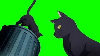 Cats green screen animation background video #cat #cats #animation #viral @ShikboICT