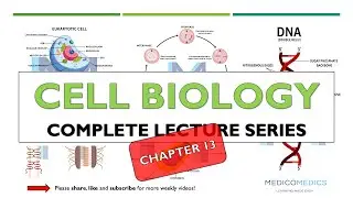 Cell Biology Chapter 13 | Clinical Applications: Diagnostics, Targeted Therapy, Stem Cells & More