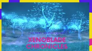 Xenoblade Chronicles Definitive Edition Satorl Marsh (Night) OST
