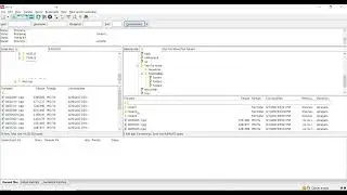 How to file move from SFTP server and using putty key authentication in Console App in C#.