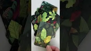 A relaxing flip through of Soil Tarot Deck backed by lo-fi music.