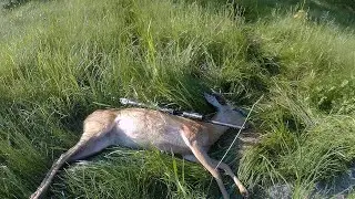 ОХОТА НА САМЦА КОСУЛИ НА ТРАВАХ. НОГА КОСУЛИ ЦЕЛИКОМ В ПИВЕ В КАЗАНЕ !!!!!!!