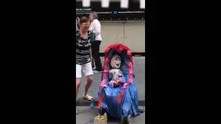 Uz prikol  2017 приколы  2017