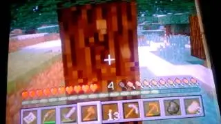 Minecraftul multiplayer enjoying the view