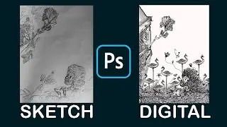 Digital Drawing in Photoshop