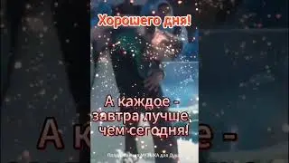 Сегодня самый лучший день! Today is the best day ever! 