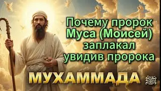 Why did Prophet Musa (a.s) cry when he saw Prophet Muhammad ﷺ?