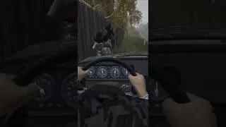 Сбили бабку и залутали за мгновение - DayZ