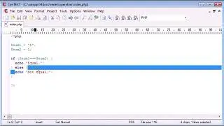 Beginner PHP Tutorial   24   Triple Equals computer  tips and triks pro