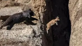 PERFECT TIMING!