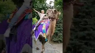 Бахчисарайский парк "КРЫМ в миниатюре"