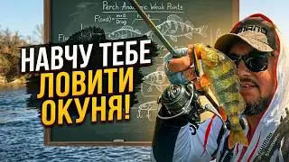 How to catch perch? 100 perch - easy! | A simple strategy for everyone