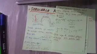 Piller (14 soruda piller )
