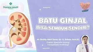 Can Kidney Stones Heal on Their Own? – Dr. Doddy Hami Seno, Sp. U, Subsp. And (K)