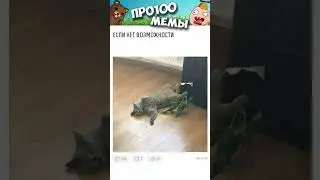 мемы про100 