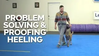 Problem Solving and Proofing Heeling