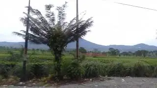 ngentod di gunung