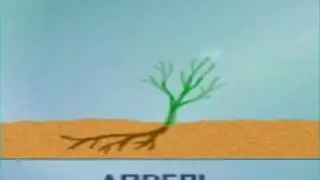 efimeri