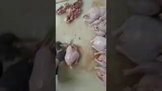 Немного о заточке как я правлю свои ножи на работе