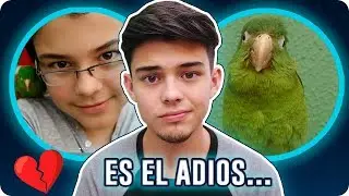 Lo voy a extrañar CUCÚ 🦜