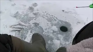РЫБОЛОВ ИВАНОВИЧ. МОНОЛОГ ПЕРЕД ФИЛЬМОМ.