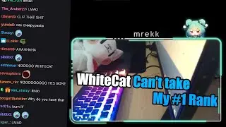 The cat can snipe #1 ?