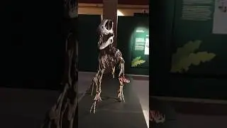 Exposición Cazadores de Dragones: paleontólogos y dinosaurios