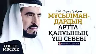 Мұсылмандардың артта қалуының 3 себебі | Шейх Ториқ Суайдан ᴴᴰ