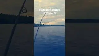 Рыбалка на крупного судака на джиг 