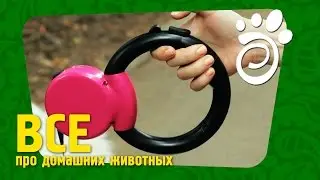 Поводки-Рулетки Для Собак.Все О Домашних Животных