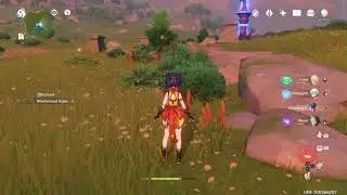 Where to find Windwheel Aster - Location Guide Genshin Impact