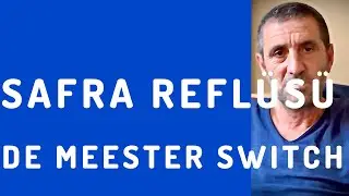 Safra Reflüsü - Laparoskopik De Meester Switch Ameliyatı