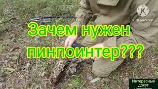 Зачем нужен пинпоинтер? #интересныйдосуг #металлоискатель #пинпоинтер