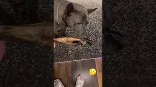 Что тут скажешь?! Не зашло! 🥴